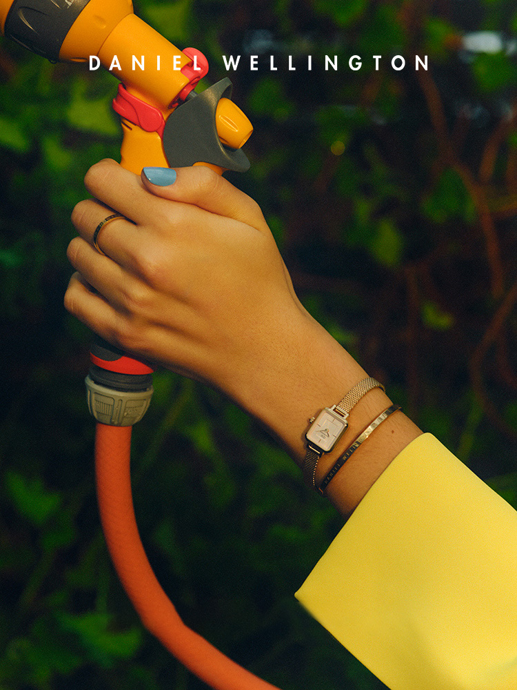 Daniel Wellington Quadro Mini  – обзор и цена Daniel Wellington Watches & Jewelry Online Store